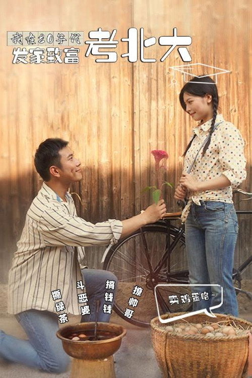 我在80年代发家致富考北大 poster