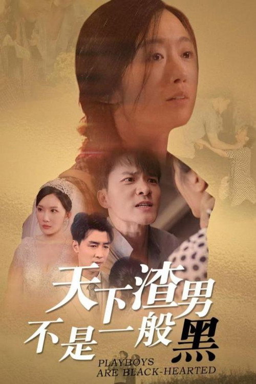 天下渣男不是一般黑 poster