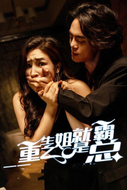 重生之姐就是霸总 poster
