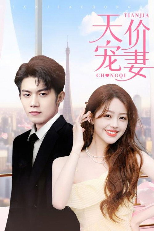 天价宠妻 poster
