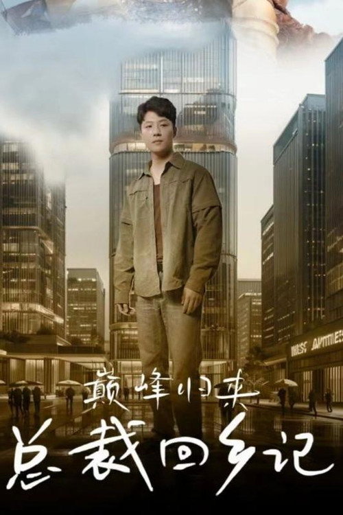 巅峰归来总裁回乡记 poster