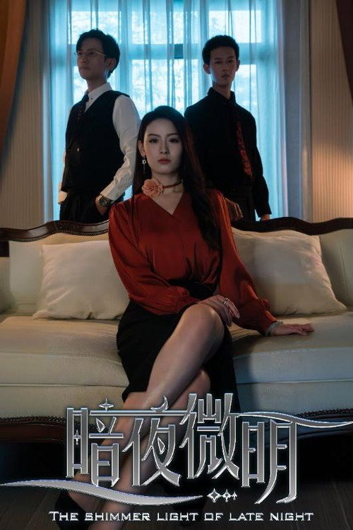 暗夜微明 poster