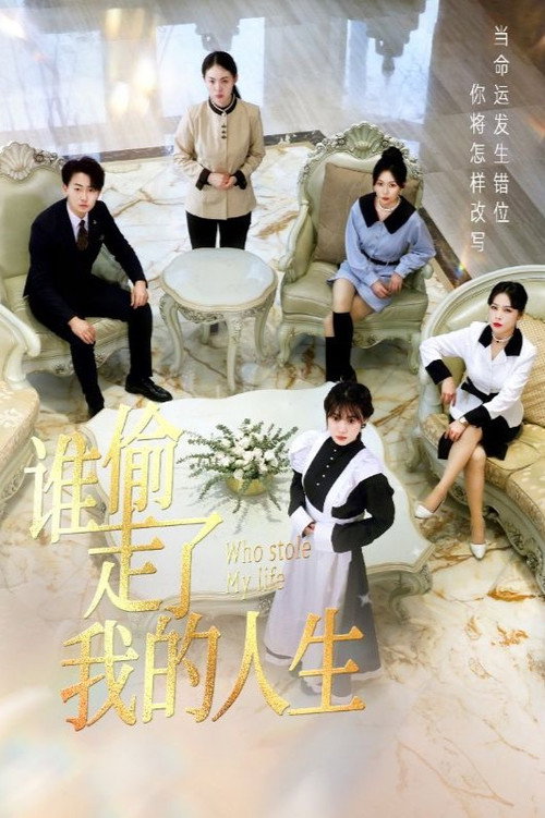 谁偷走了我的人生 poster