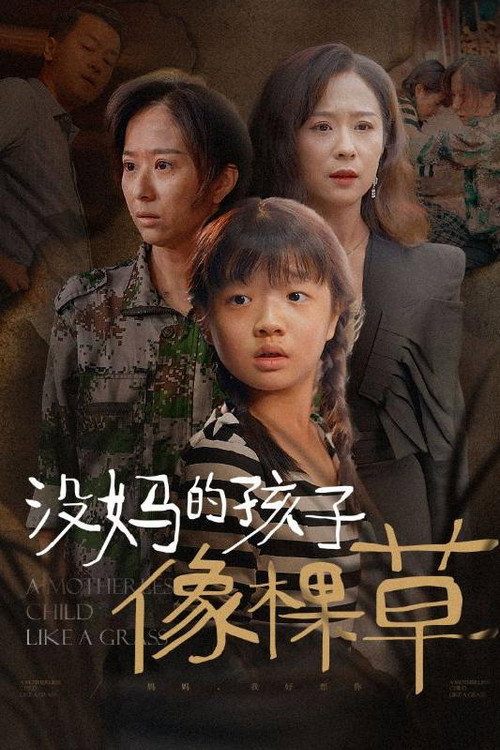 没妈的孩子像棵草 poster