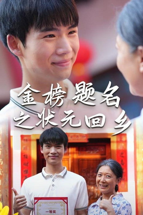 金榜题名之状元回乡 poster
