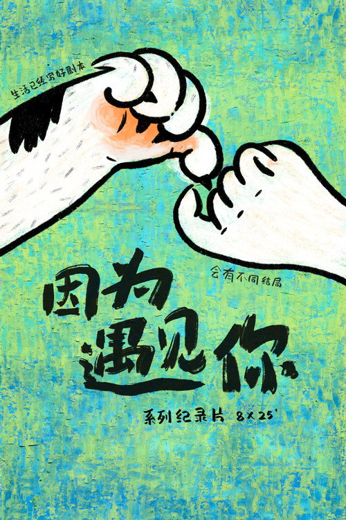 因为遇见你 poster
