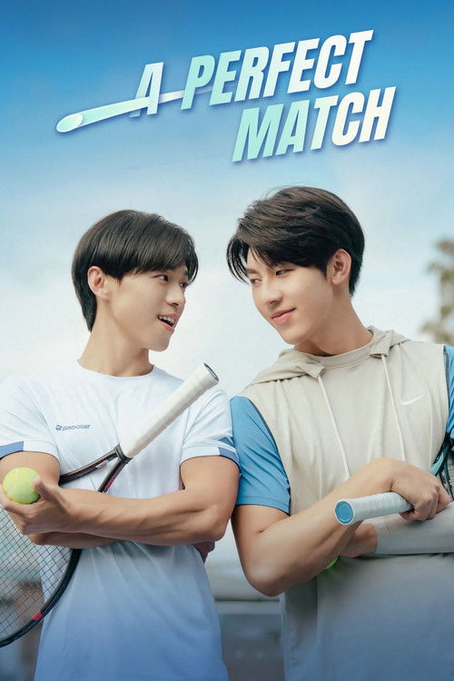 A Perfect Match poster