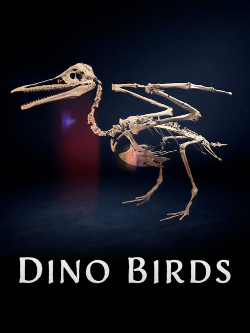Dino Birds poster