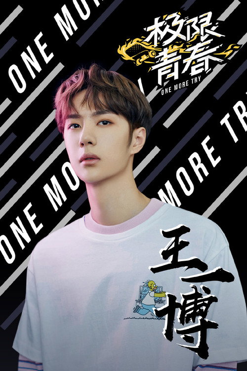极限青春明星日志 poster