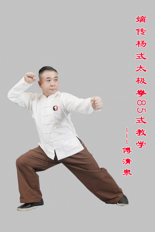 嫡传杨式太极拳 poster
