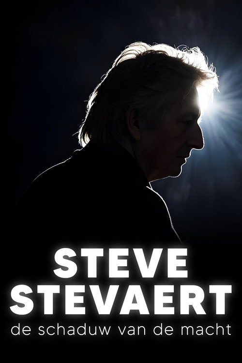 Steve Stevaert, de schaduw van de macht poster