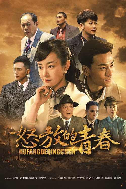 怒放的青春 poster