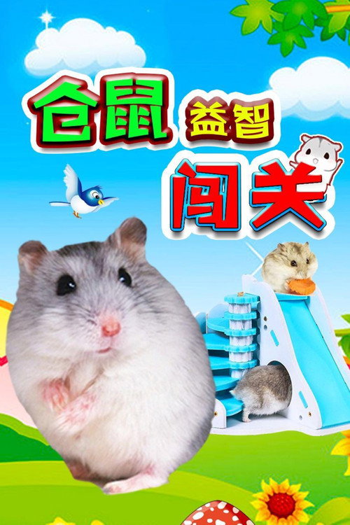 仓鼠益智闯关 poster