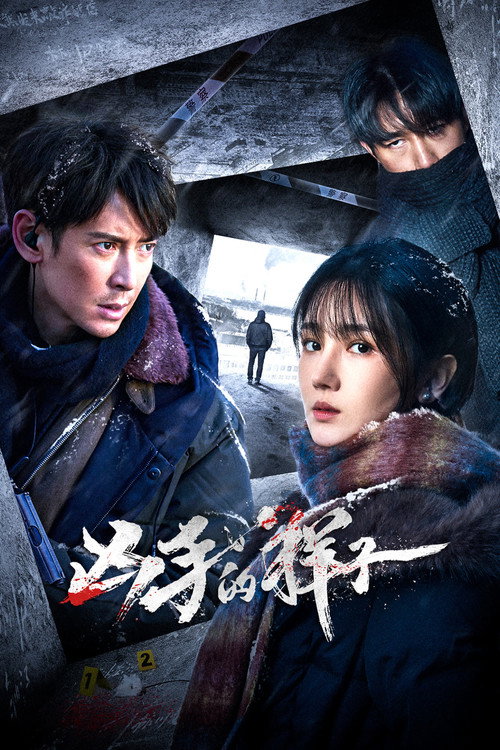 The Appearance of the Murderer poster