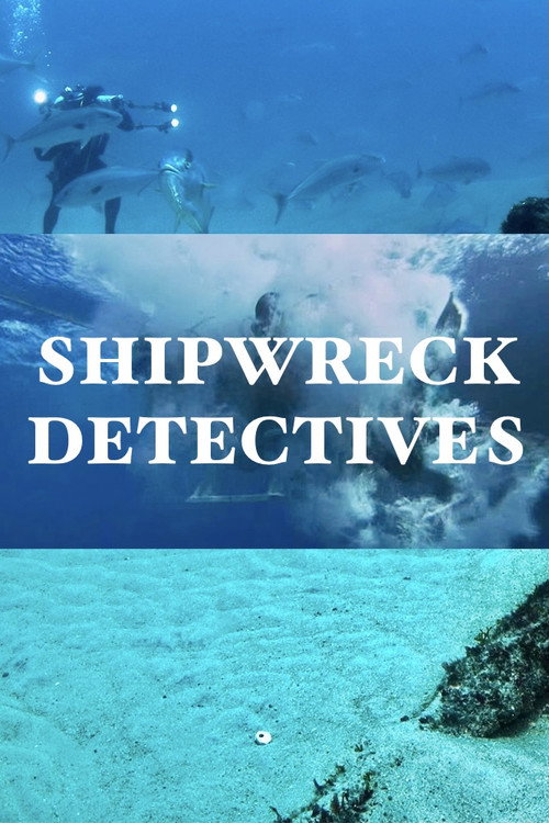 Shipwreck Detectives poster