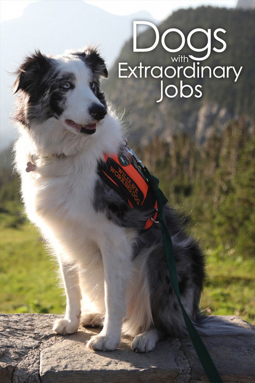Dogs with Extraordinary Jobs poster