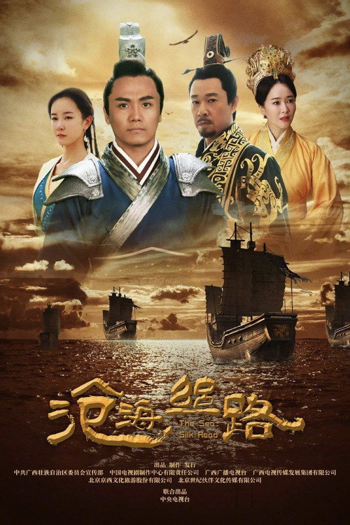 沧海丝路 poster