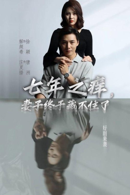 七年之痒，妻子终于藏不住了 poster