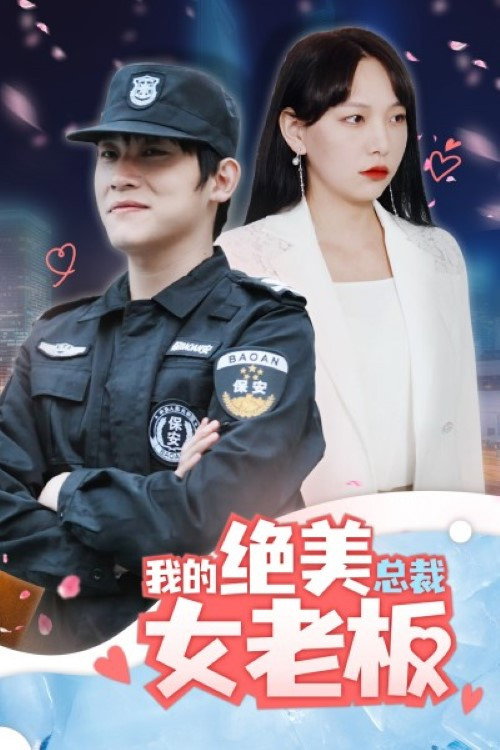 我的绝美总裁女老板 poster