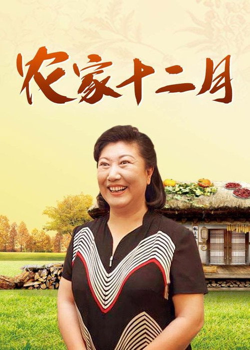 农家十二月 poster