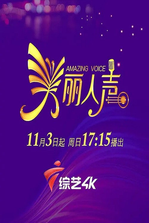 美丽人声 poster