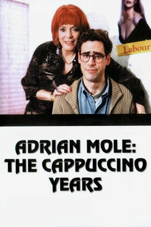 Adrian Mole: The Cappuccino Years poster
