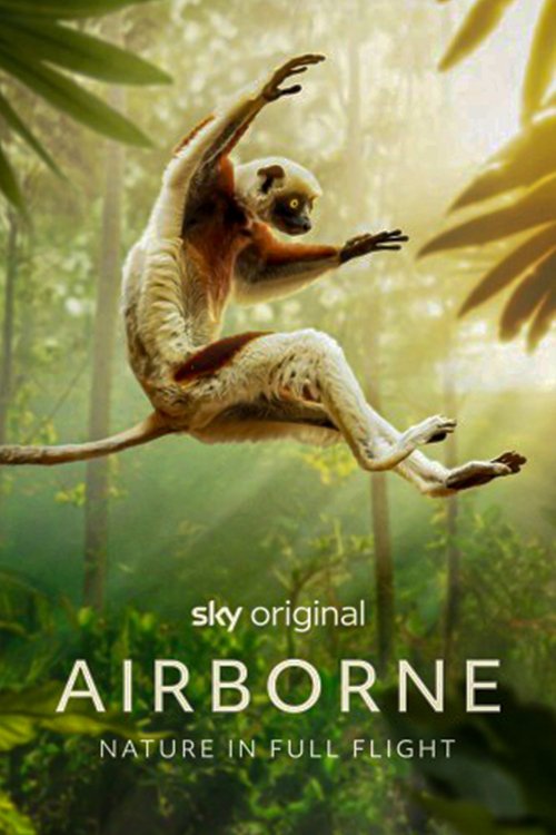 Airborne poster