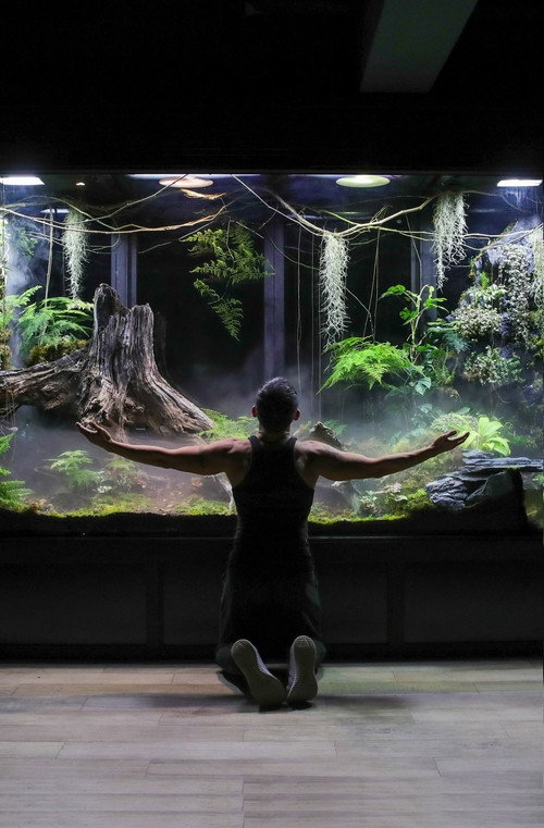 My Giant Cloud Rainforest Vivarium poster