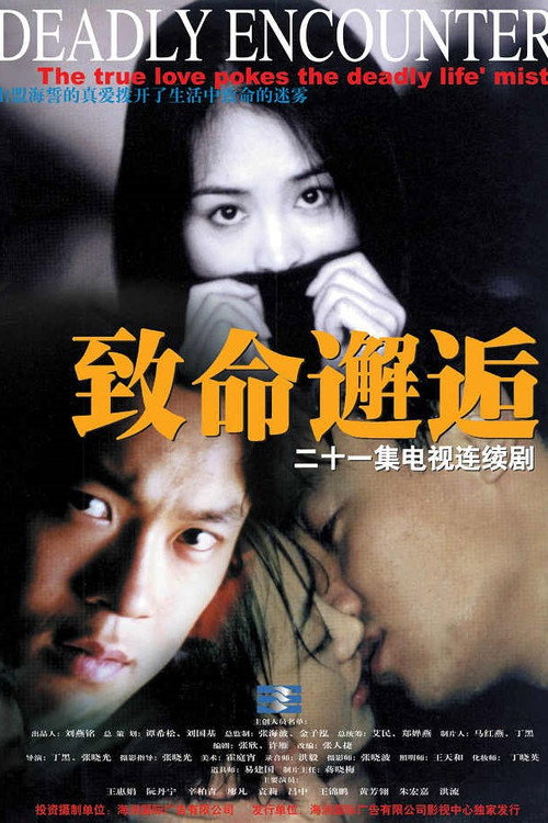 致命邂逅 poster
