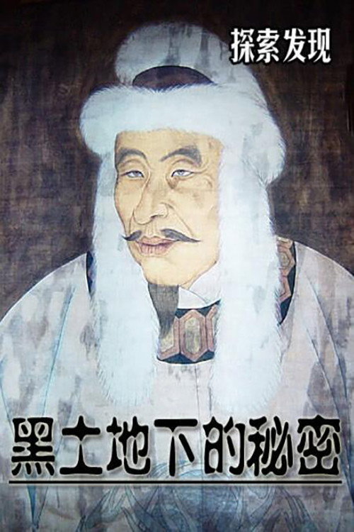 黑土地下的秘密 poster