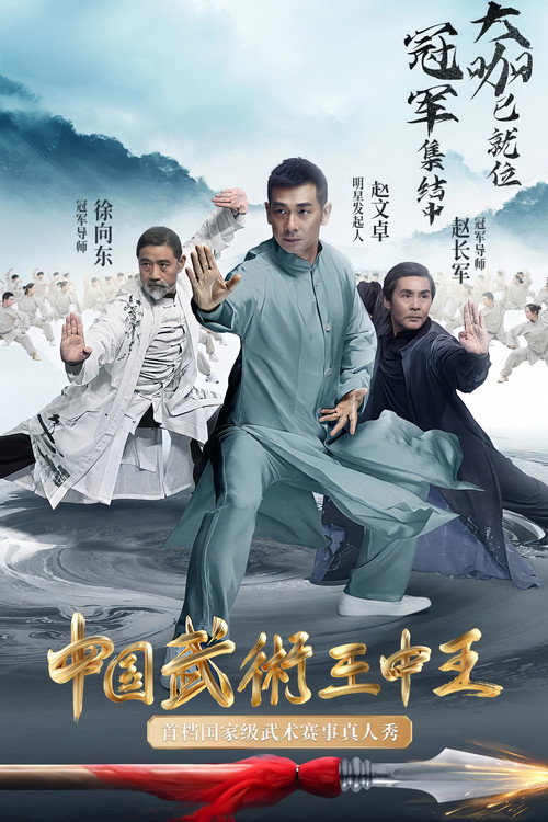 Wushu: King of Kings poster