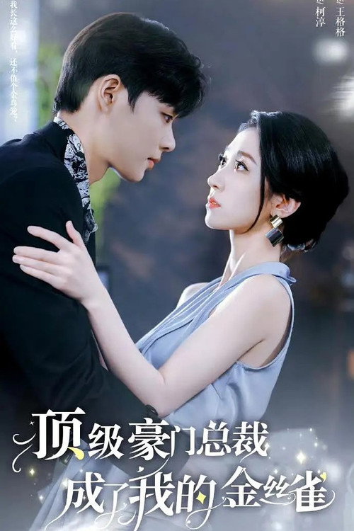 顶级豪门总裁成了我的金丝雀 poster