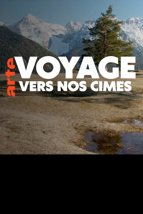 Voyage vers nos cimes poster