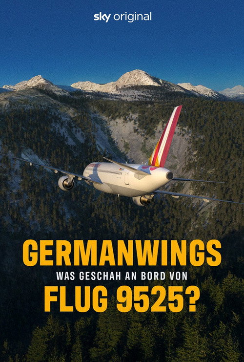 Germanwings: What Happened on Flight 9525? poster