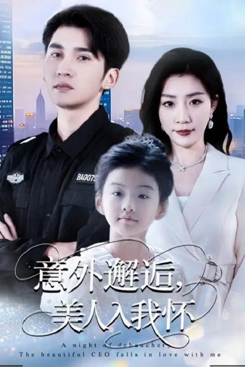意外邂逅，美人入我怀 poster