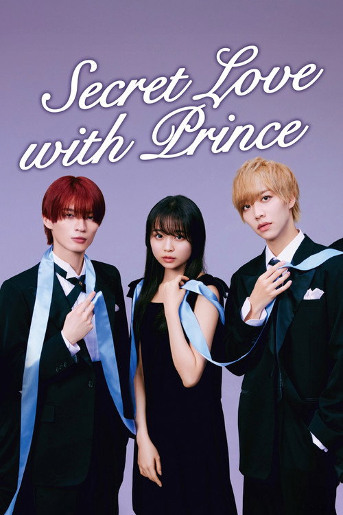 Secret Love with Prince poster