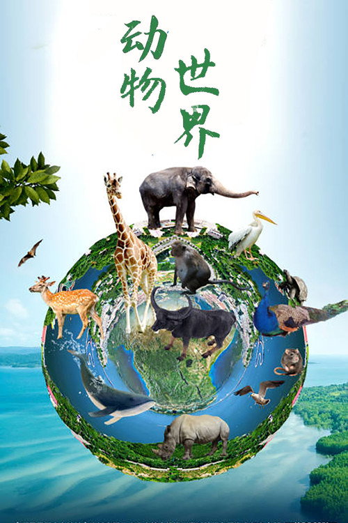 动物世界(赵忠祥) poster