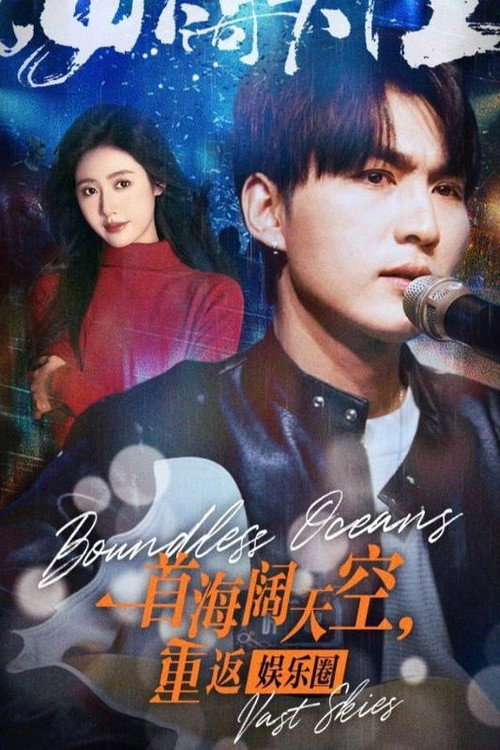 一首海阔天空，重返娱乐圈 poster