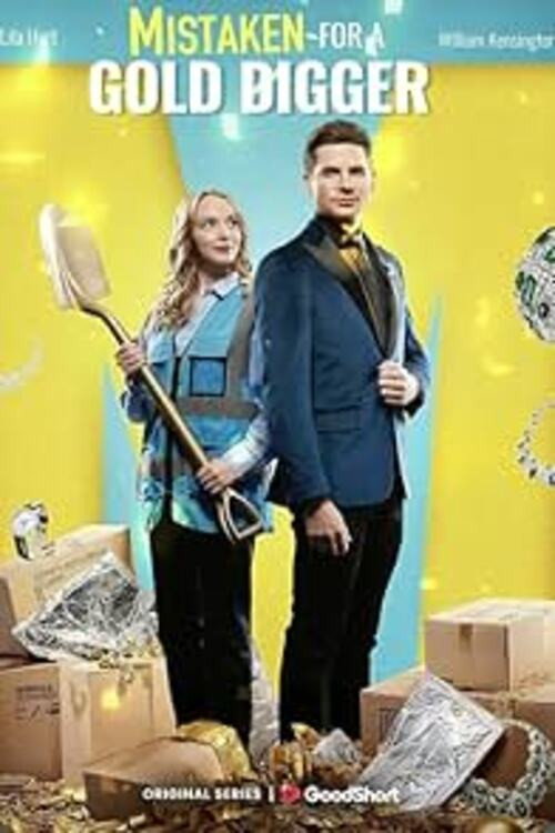 Mistaken for a Gold Digger poster