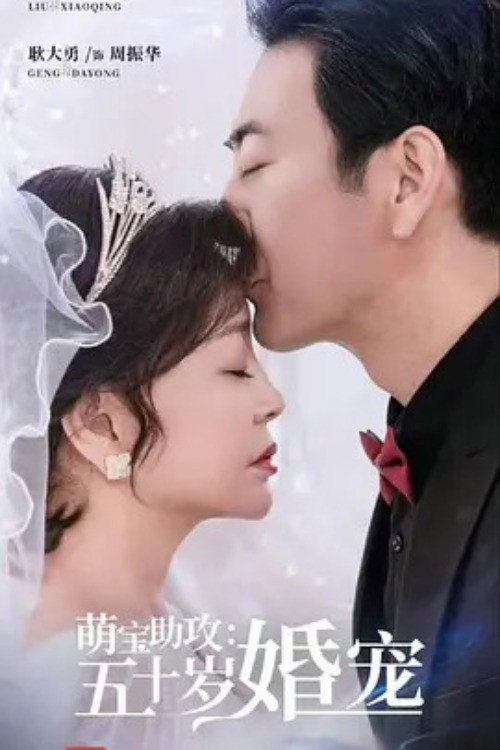萌宝助攻:五十岁婚宠 poster