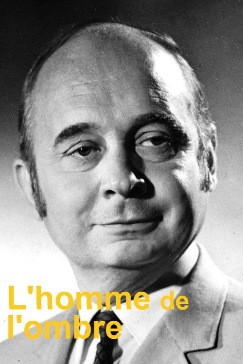 L'homme de l'ombre poster