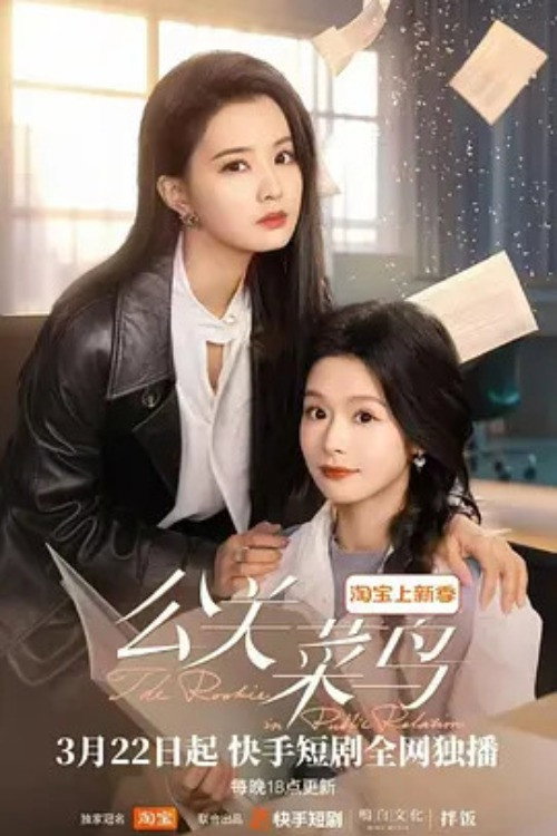 The Rookie in Public Relations poster
