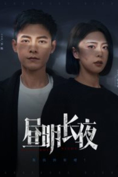 昼明长夜 poster