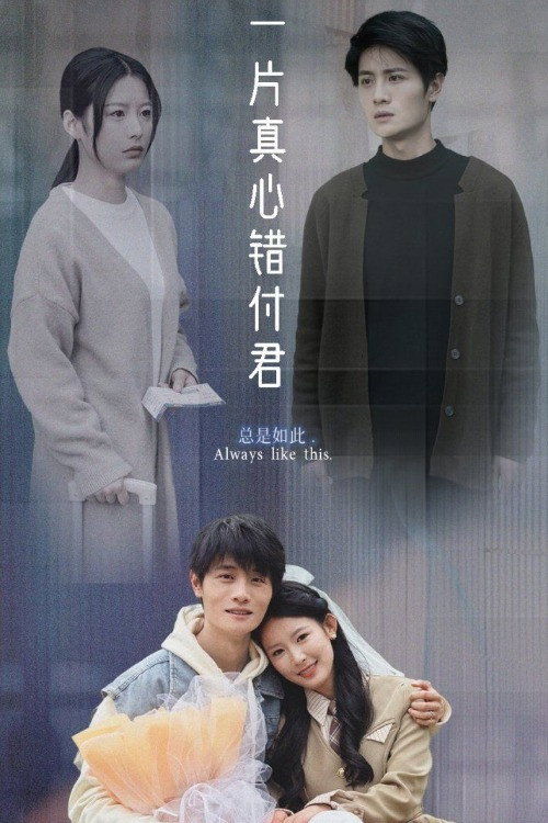一片真心错付君 poster