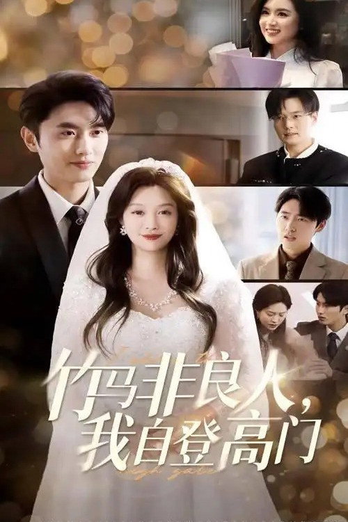 竹马非良人,我自登高门 poster