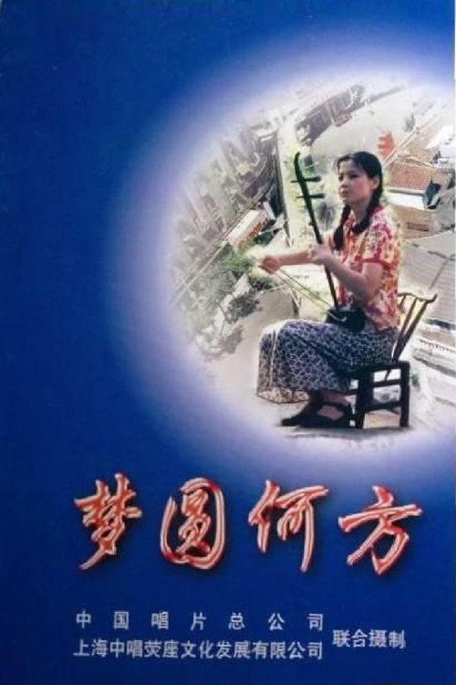 梦圆何方 poster