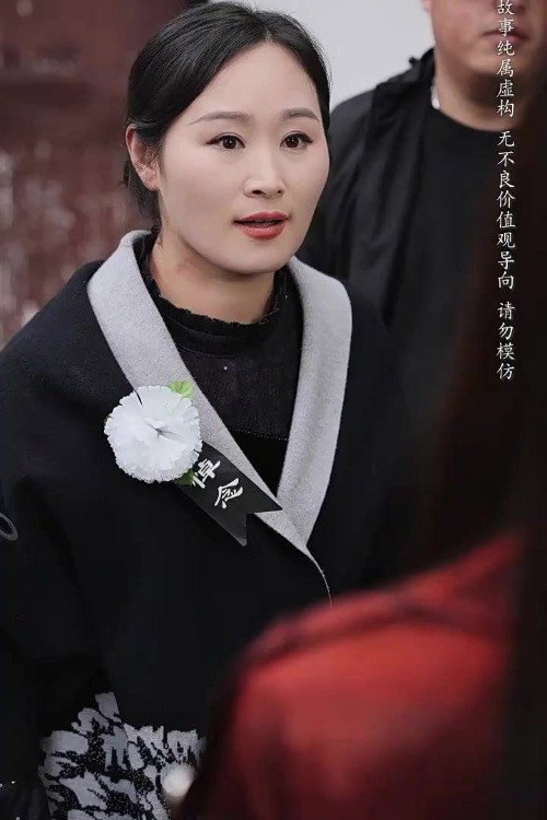 养母的秘密 poster
