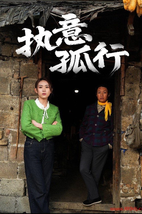 执意孤行 poster