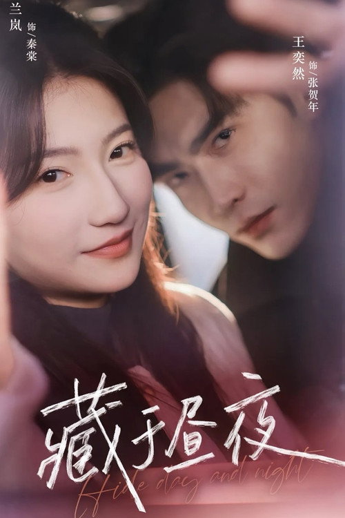 藏于昼夜 poster