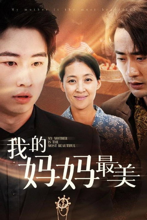 我的妈妈最美 poster